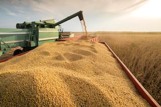 En el negocio agrícola cambió la música: ¿un período peligroso para el productor?