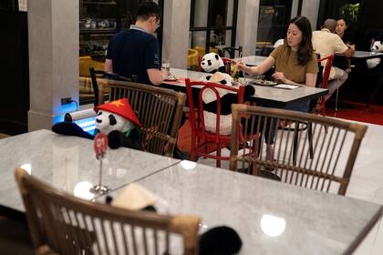 Un comida junto a los adorables panda de peluche