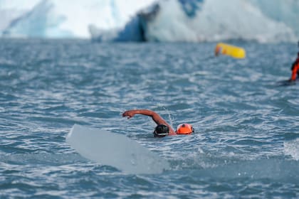 Un competidor nada rodeado de bloques de hielo que se desprenden del Glaciar Perito Moreno
Gentileza: Nadando Argentina