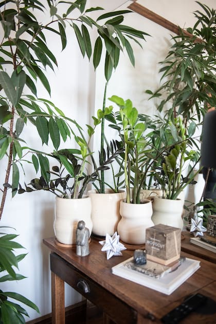 Un conjunto de macetas de cerámica esmaltada, ideal para interiores