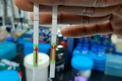 Un consorcio de 10 laboratorios en India está secuenciando muestras del coronavirus