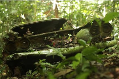 Un Corvair del año 59, uno de los tantos vehículos que intentaron cruzar el Tapón del Darién, sin el menor de los éxitos