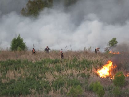 Un cuerpo de Bomberos ataca un foco de incendio en la Reserva Ecológica de Costanera Sur