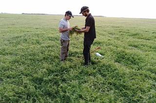 Ante los desafíos de la sustentabilidad