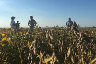 Qué revelan los indicadores de los farmers de EE.UU.: ¿están en crisis?