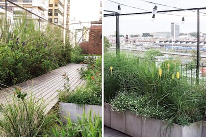 Un deck de lapacho y macetas contenedoras fueron dos de las incorporaciones que marcaron una diferencia en la reforma de la terraza.