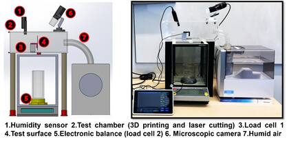 Un desarrollo de la universidad de Waterloo (Canadá) imita el diseño de las telarañas para capturar la humedad del aire