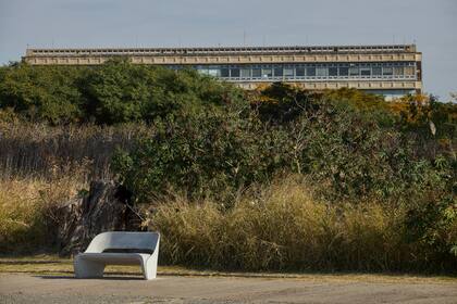 Un descanso en medio del verde. De fondo, el Pabellón 3 de la Facultad de Arquitectura y Diseño Urbanístico de la UBA