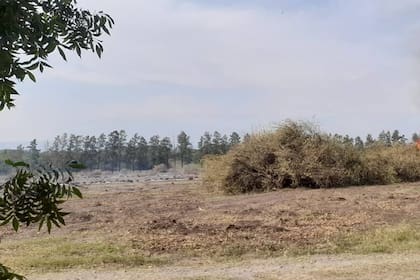 Un desmonte en El Chañar, departamento de Burruyacú, en Tucumán