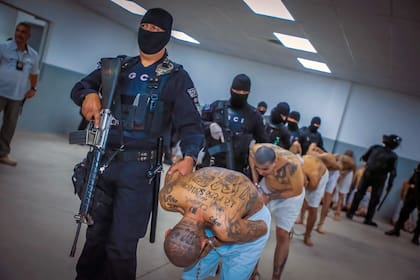 Un detenido del MS-13 en la megacárcel Cecot, en Tecoluca. (Salvadorean Presidency / AFP) 