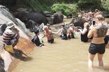 Un día en la Reserva de Elephant Jungle Sanctuary en Chaing Mai de Tailandia