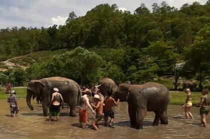 Un día en la Reserva de Elephant Jungle Sanctuary en Chaing Mai de Tailandia