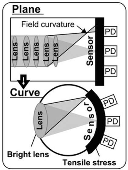 Un diagrama compara el flujo de luz en sensor plano y otro curvo