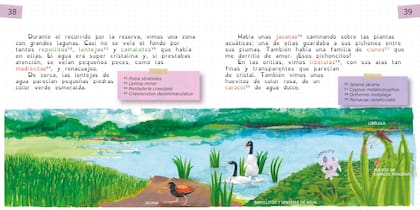 Un diario ilustrado con experiencias ecoafectivas