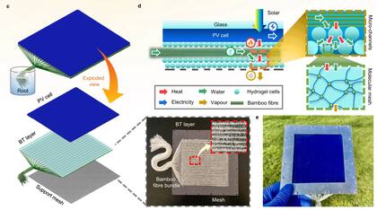 Un diseño de paneles solares llamado PV-leaf, que imita la estructura de las hojas de las plantas, permitiría transformar más luz solar en energía al usar agua dentro de los paneles para bajar su temperatura