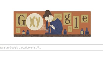 Un Doodle para celebrar el 155 aniversario de Nettie Stevens