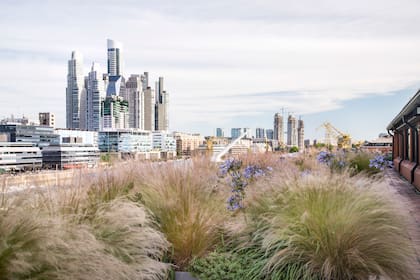 Un dos ambientes de 50 metros cuadrados en Puerto Madero, el barrio más caro del país, supera los US$ 300.000