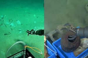 Hito arqueológico: sorprendente hallazgo a 3000 metros de profundidad en el mar Meridional