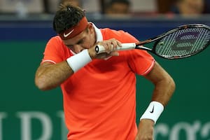 Del Potro sabe que el regreso demandará tiempo y que Piqué lo quiere en la Davis