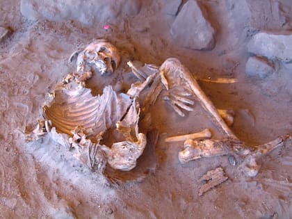 Un ejemplar de momia de 7000 años de antigüedad que sostenía el récord por ser los restos de mayor longevidad hallados hasta ese entonces