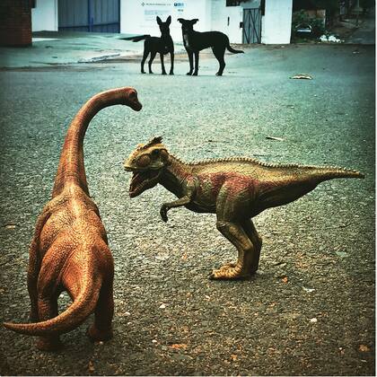 Un encuentro curioso en la calle