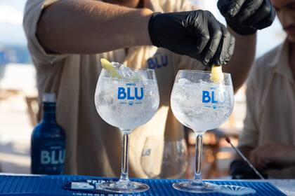 Un equilibrado gin botánico y fresco que se distingue por su balance entre el enebro italiano y los botánicos de la montaña sarda.