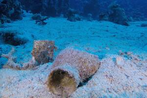 Un equipo de arqueólogos egipcios descubrió la proa y la parte central de un barco comercial que se hundió en el mar Rojo en el siglo XVIII