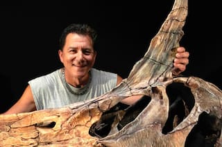 Científicos descubren una nueva especie de Spinosaurus en el Sáhara