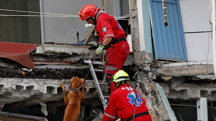 Un equipo de rescate busca sobrevivientes entre los escombros, ayer, en la capital