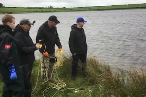 Son cazadores de tesoros y con detectores de metales buscan un objeto que se creía irreal