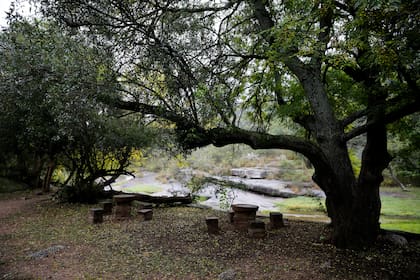 Un espacio de descanso junto al río de los Tártagos