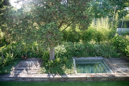 Un espejo de agua contenido entre durmientes antiguos refleja el follaje circundante y aporta frescura al jardín
