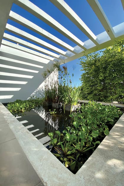 Un estanque que acompaña el ingreso en la casa.