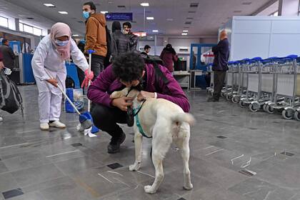 Un estudiante evacuado de Ucrania abraza a su perro a su llegada al aeropuerto de Túnez-Cartago