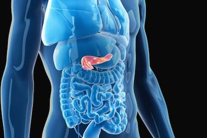 Un estudio realizado en España logró eliminar tumores pancreáticos en ratones, un avance prometedor que aún debe validarse en humanos