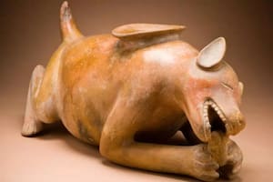 Un estudio reveló la lujosa vida de los perros mayas