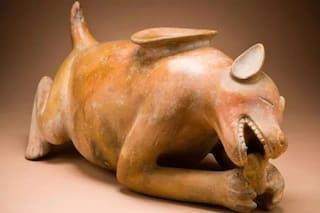 Un estudio reveló la lujosa vida de los perros mayas