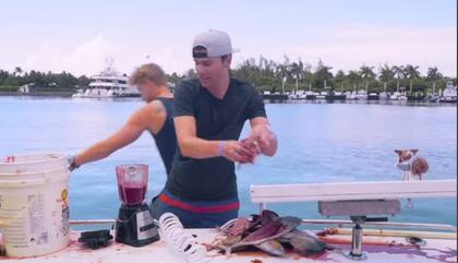 Un exingeniero de la NASA quiere comprobar qué pasa si un buzo se lastima bajo el agua rodeado de tiburones