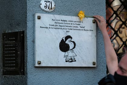 Un fanático de Mafalda deja una flor sobre la placa en la entrada del edificio de la calle Chile 371