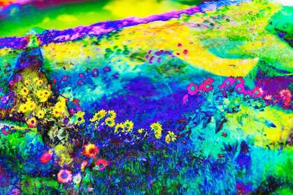 ¿Un final psicodélico?