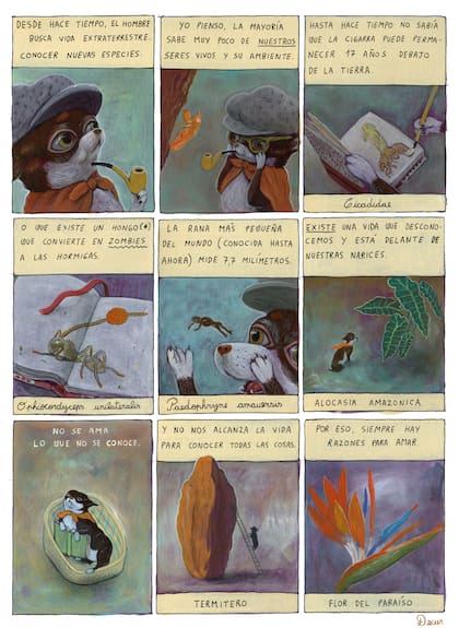 Un fragmento de Pedro, el investigador