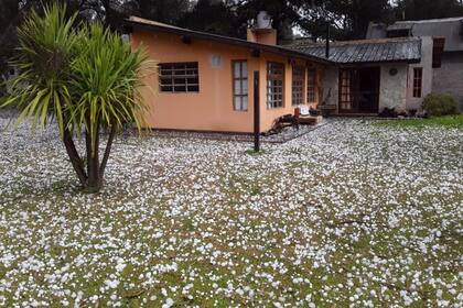 Un fuerte temporal azotó Mar del Plata y Santa Clara del Mar