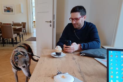 Un galgo de viaje