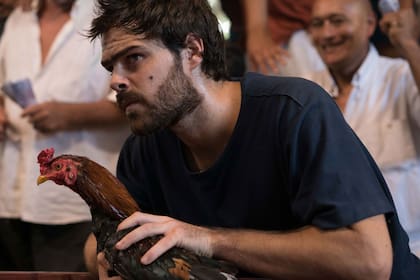Peter Lanzani, protagonista de Un gallo para Esculapio