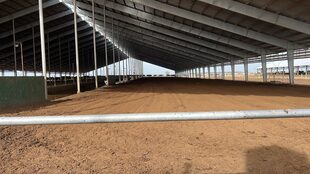 El fenómeno que en muchas empresas del campo va más allá de una moda 5 Un galpón para vacas lecheras con cama de compost