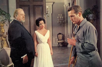 Un gato sobre el tejado caliente (1958), de Richard Brooks, basada en la pieza teatral de Tennessee Williams.