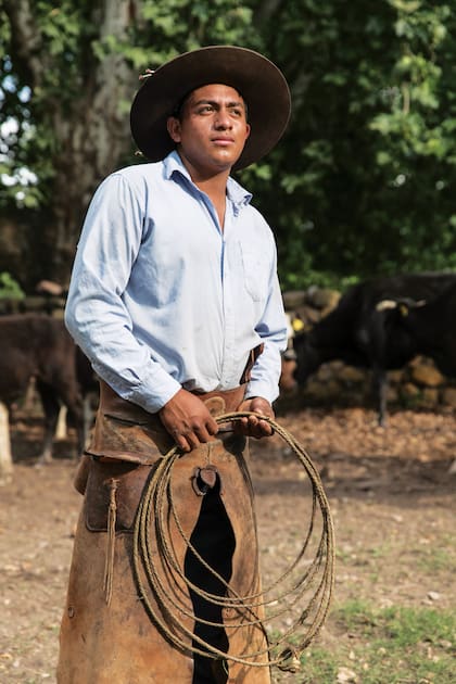 Un gaucho en Lozano, en la finca de los descendientes de la “Niña” Yolanda.