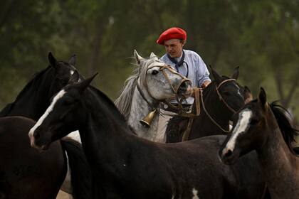 Un gaucho monta a caballo durante el entrevero