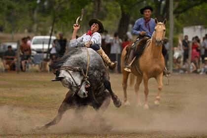 Un gaucho monta un potro durante el 83º Festival de la Tradición en San Antonio de Areco