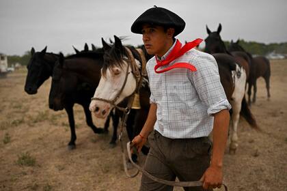Un gaucho prepara sus caballos durante la 83.ª Fiesta de la Tradición en San Antonio de Areco, Argentina, el 12 de noviembre de 2022